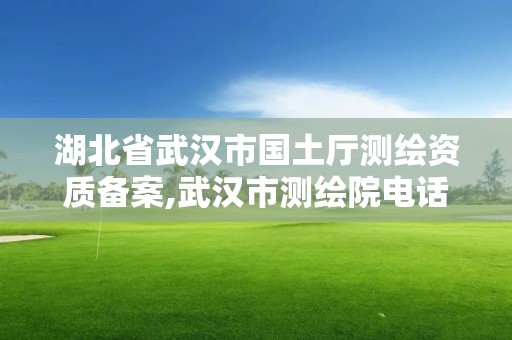 湖北省武漢市國土廳測繪資質(zhì)備案,武漢市測繪院電話。