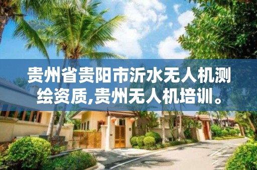 貴州省貴陽市沂水無人機測繪資質,貴州無人機培訓。