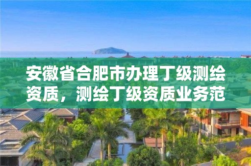 安徽省合肥市辦理丁級(jí)測(cè)繪資質(zhì)，測(cè)繪丁級(jí)資質(zhì)業(yè)務(wù)范圍