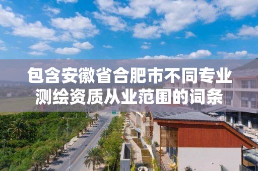 包含安徽省合肥市不同專業測繪資質從業范圍的詞條