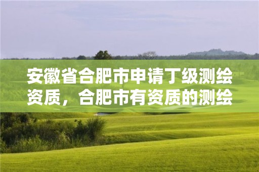 安徽省合肥市申請丁級測繪資質，合肥市有資質的測繪公司