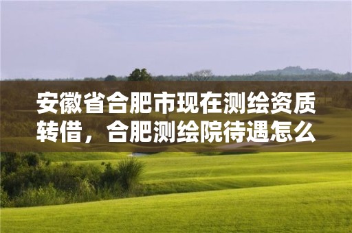 安徽省合肥市現在測繪資質轉借，合肥測繪院待遇怎么樣