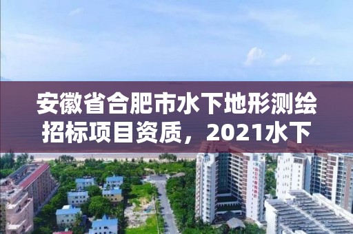 安徽省合肥市水下地形測繪招標(biāo)項(xiàng)目資質(zhì)，2021水下地形測量招標(biāo)