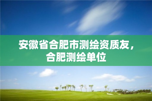 安徽省合肥市測繪資質友，合肥測繪單位