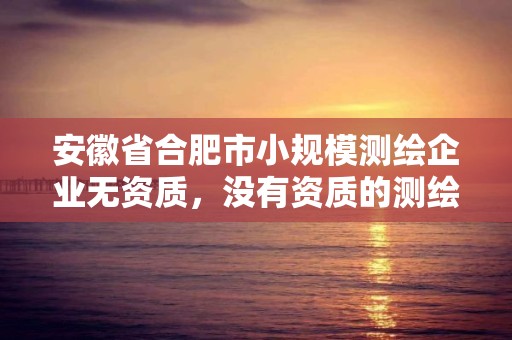 安徽省合肥市小規(guī)模測(cè)繪企業(yè)無(wú)資質(zhì)，沒有資質(zhì)的測(cè)繪公司怎么開票