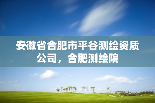 安徽省合肥市平谷測繪資質公司，合肥測繪院