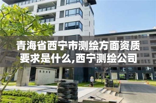 青海省西寧市測繪方面資質要求是什么,西寧測繪公司有哪些。