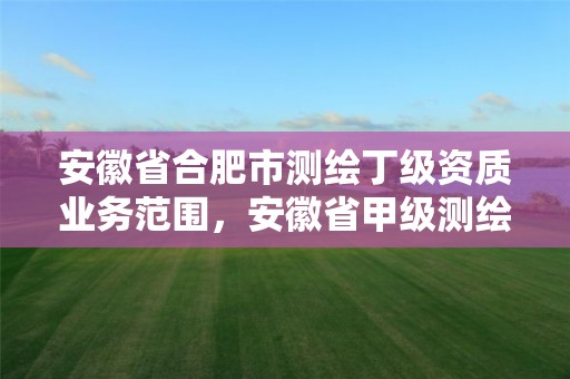 安徽省合肥市測繪丁級資質業務范圍，安徽省甲級測繪資質單位