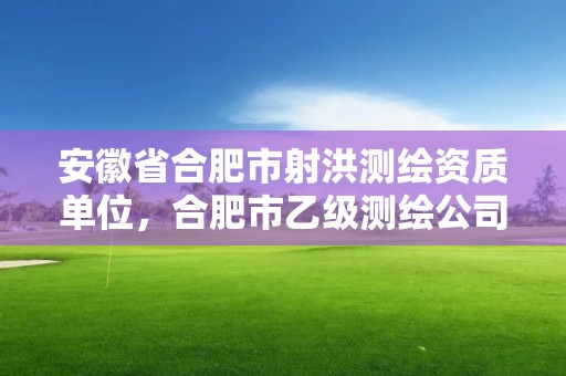 安徽省合肥市射洪測繪資質單位，合肥市乙級測繪公司