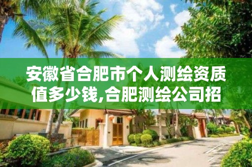 安徽省合肥市個人測繪資質值多少錢,合肥測繪公司招聘。