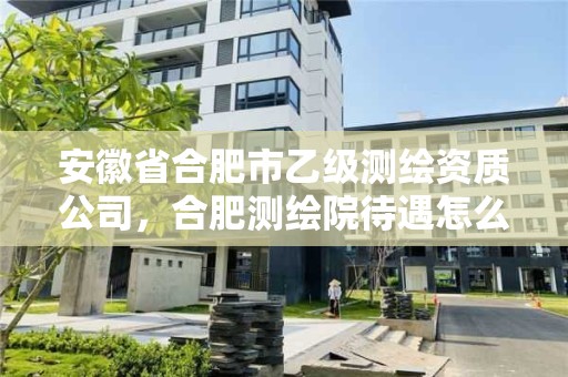 安徽省合肥市乙級測繪資質公司，合肥測繪院待遇怎么樣