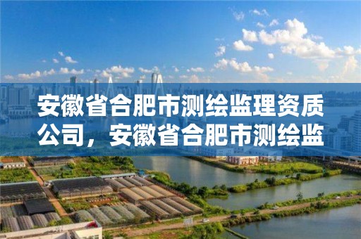 安徽省合肥市測繪監理資質公司，安徽省合肥市測繪監理資質公司有幾家