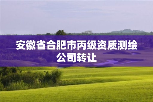 安徽省合肥市丙級資質(zhì)測繪公司轉(zhuǎn)讓