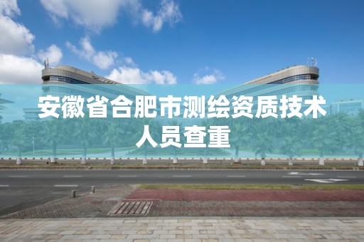 安徽省合肥市測繪資質(zhì)技術(shù)人員查重