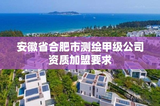 安徽省合肥市測繪甲級公司資質加盟要求