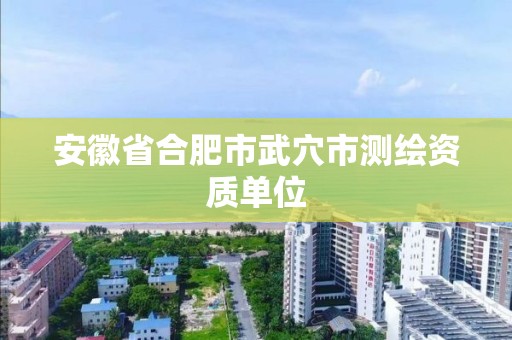 安徽省合肥市武穴市測繪資質單位