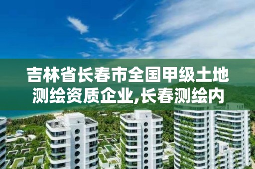 吉林省長春市全國甲級土地測繪資質企業,長春測繪內業招聘。