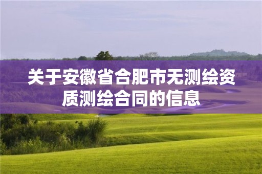 關于安徽省合肥市無測繪資質測繪合同的信息