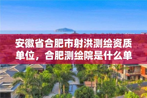 安徽省合肥市射洪測繪資質單位，合肥測繪院是什么單位