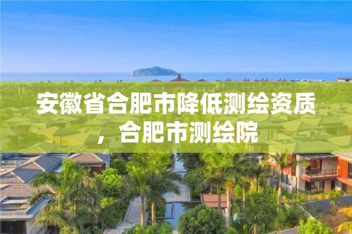 安徽省合肥市降低測繪資質(zhì)，合肥市測繪院