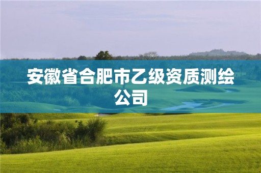 安徽省合肥市乙級資質測繪公司