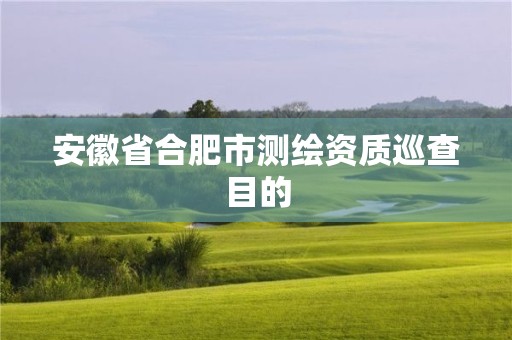 安徽省合肥市測繪資質巡查目的