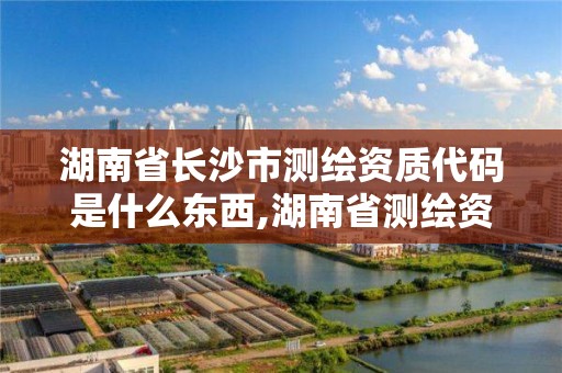 湖南省長沙市測繪資質代碼是什么東西,湖南省測繪資質查詢。