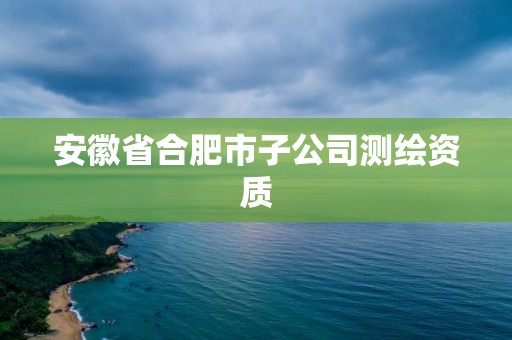 安徽省合肥市子公司測(cè)繪資質(zhì)