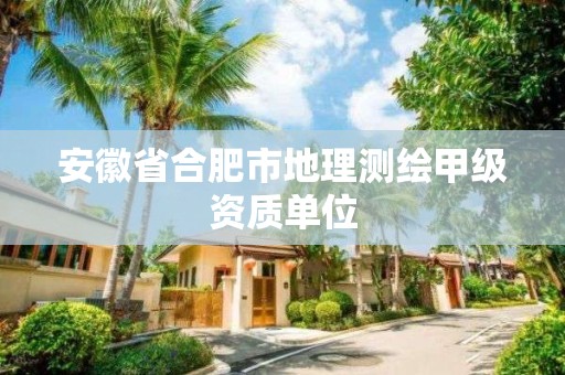 安徽省合肥市地理測繪甲級資質單位