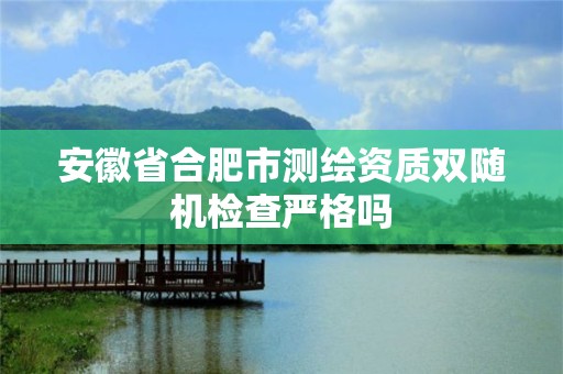 安徽省合肥市測繪資質雙隨機檢查嚴格嗎