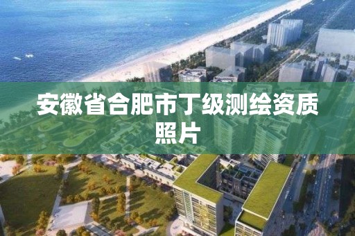 安徽省合肥市丁級測繪資質照片