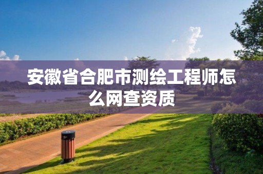 安徽省合肥市測繪工程師怎么網查資質