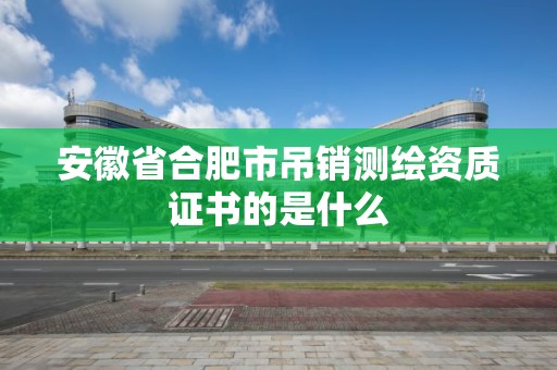 安徽省合肥市吊銷測繪資質證書的是什么