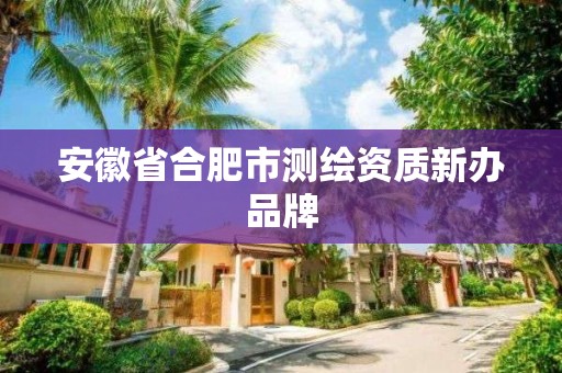 安徽省合肥市測繪資質新辦品牌