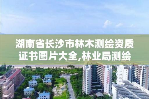 湖南省長沙市林木測繪資質證書圖片大全,林業局測繪。