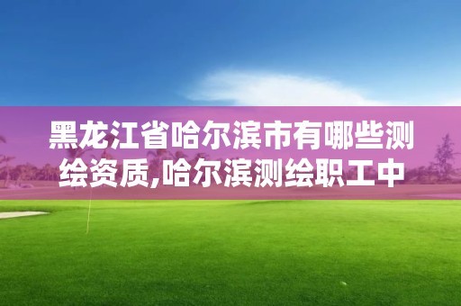 黑龍江省哈爾濱市有哪些測繪資質,哈爾濱測繪職工中等專業學校。