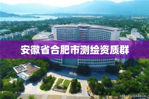 安徽省合肥市測(cè)繪資質(zhì)群