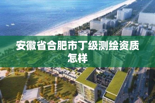 安徽省合肥市丁級測繪資質怎樣