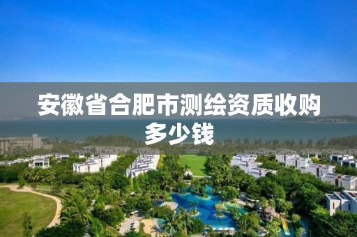 安徽省合肥市測(cè)繪資質(zhì)收購多少錢