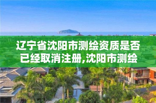 遼寧省沈陽市測繪資質是否已經取消注冊,沈陽市測繪局官網。