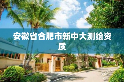 安徽省合肥市新中大測繪資質