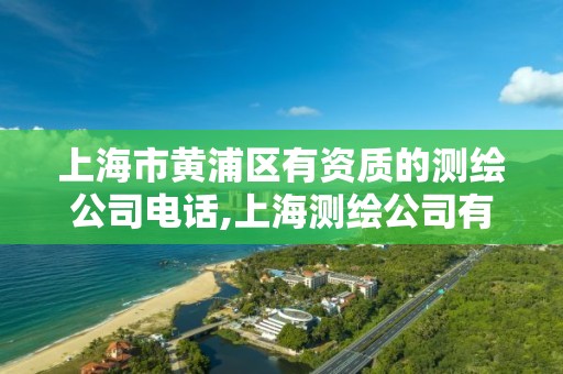 上海市黃浦區有資質的測繪公司電話,上海測繪公司有哪幾家。