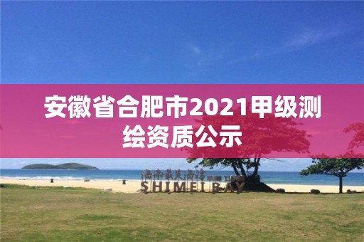 安徽省合肥市2021甲級(jí)測(cè)繪資質(zhì)公示