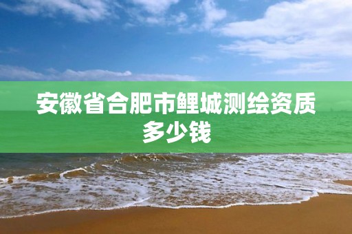 安徽省合肥市鯉城測繪資質多少錢