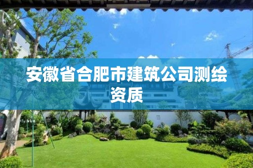 安徽省合肥市建筑公司測(cè)繪資質(zhì)