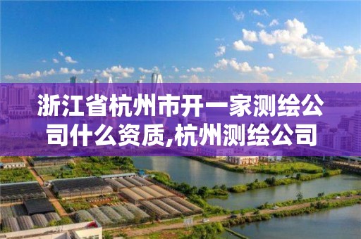 浙江省杭州市開一家測繪公司什么資質,杭州測繪公司有哪幾家。