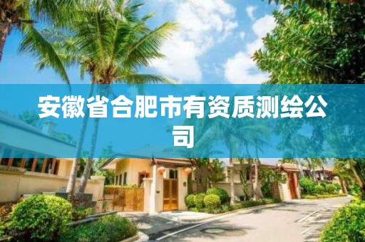 安徽省合肥市有資質測繪公司