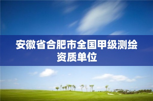 安徽省合肥市全國甲級測繪資質(zhì)單位