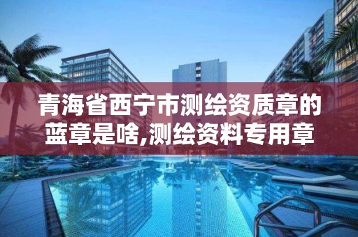 青海省西寧市測繪資質章的藍章是啥,測繪資料專用章尺寸。