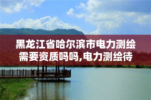 黑龍江省哈爾濱市電力測(cè)繪需要資質(zhì)嗎嗎,電力測(cè)繪待遇怎么樣。